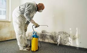 Best Mold Removal for HVAC Installations  in Mill Bay, AK